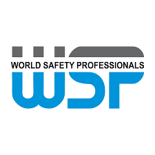 World Safety Professionals